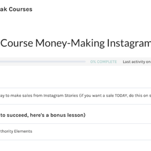 PREVIEW: 12 Course Money-Making Instagram Bundle